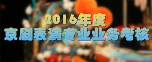 复制http://67833.срб看咪咪国家京剧院2016年度京剧表演专业业务考...